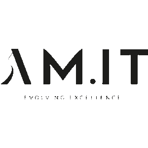 AM.IT 300x300