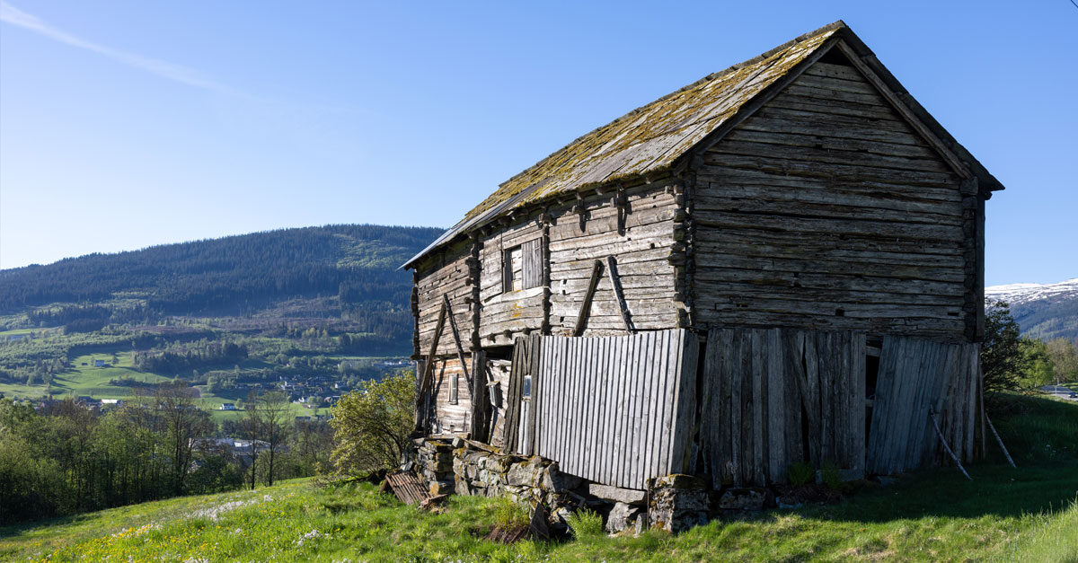 Bergen15